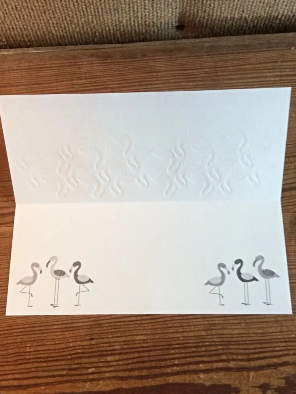 5 Shutterstock Wildlife Greeting Cards, Assorted Greetings, w/Envelopes, Unused
